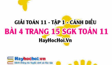 Giải bài 4 trang 15 Toán 11 tập 1 SGK Cánh Diều